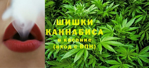 амф Каменка