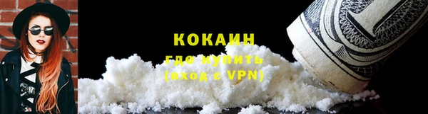 амф Каменка