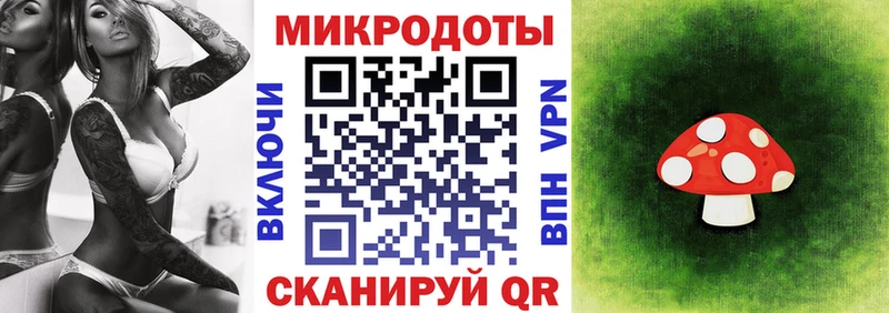 mega как зайти Киселёвск Псилоцибиновые грибы прущие грибы