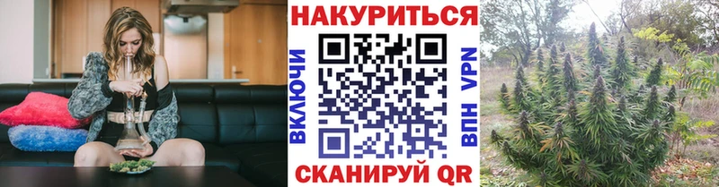 дарнет шоп  Киселёвск  МАРИХУАНА гибрид 